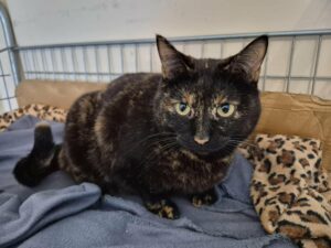 cd468eb1-e67f-4265-a03b-993d40e85ec3