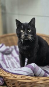 353d7de5-fa32-430e-8ced-2ff85e75ccb9